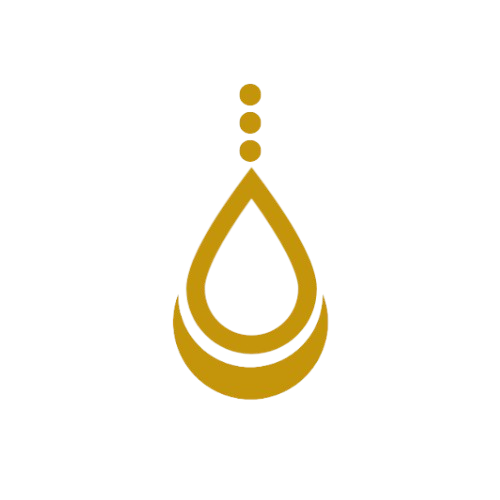 head heart and soul favicon removebg preview